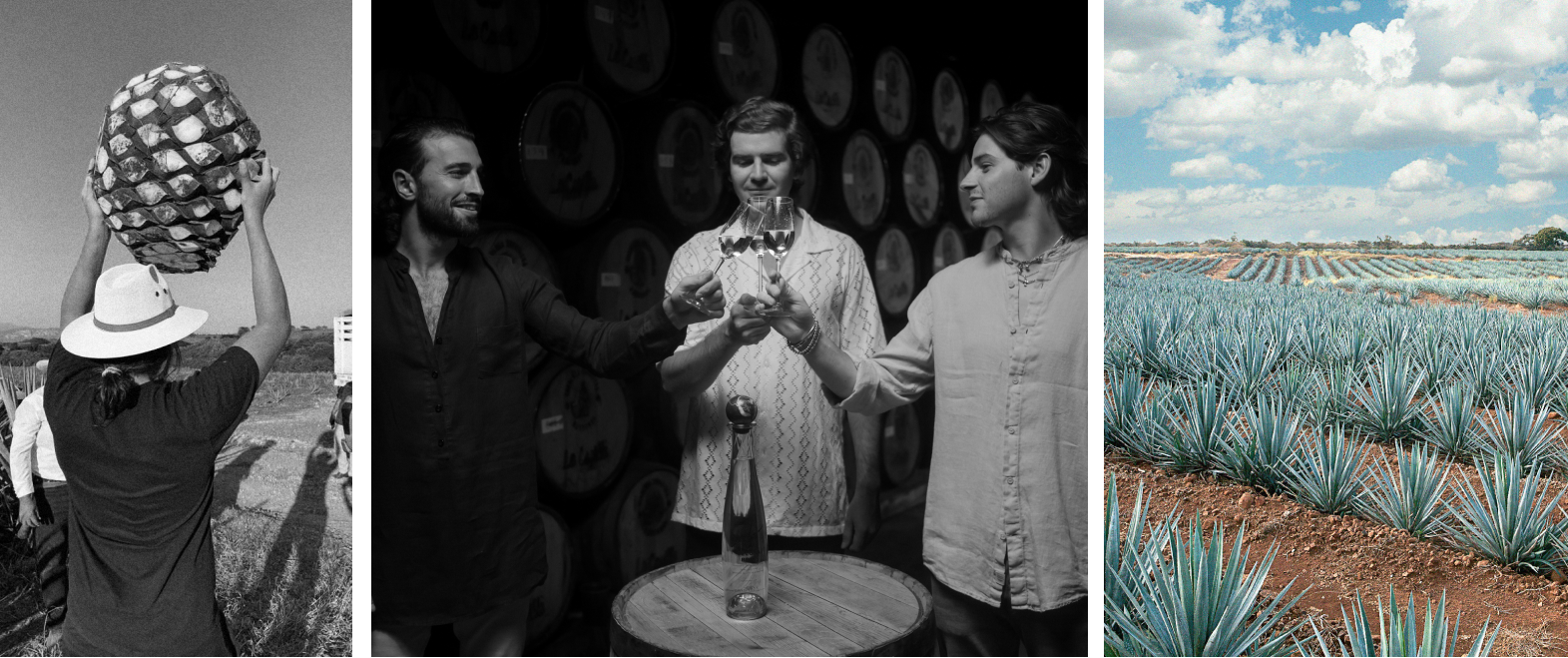 Experts crafting the best luxury tequila at Celosa