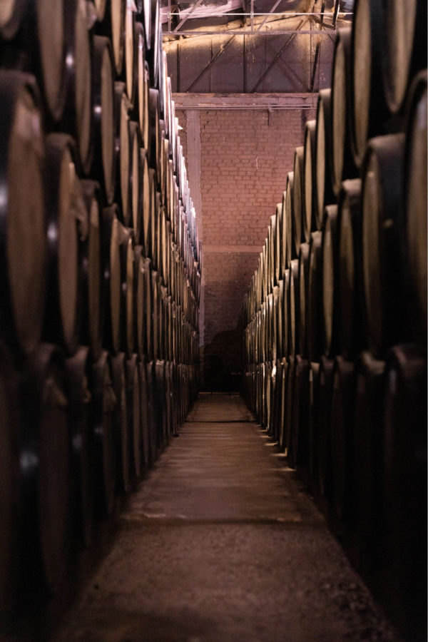 French Oak Aged Luxury Tequila The Art of Celosa Tequila