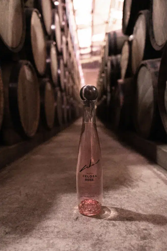A bottle of premium Celosa Rose Tequila in French oak red wine barrels storage.