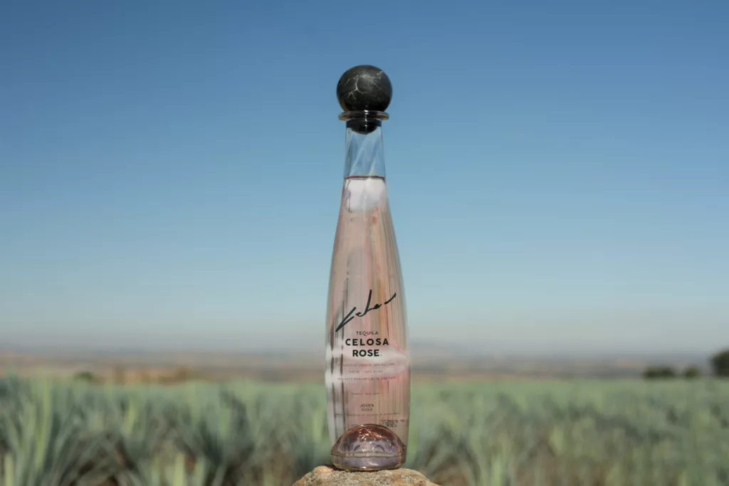 A bottle of Celosa Rose Tequila stands center frame against a clear blue sky, with an expansive agave field in the background. The bottle has a distinctive marble-like cap and features elegant script branding on its surface. The scene suggests a serene and natural setting, likely where the agave for the tequila is harvested.