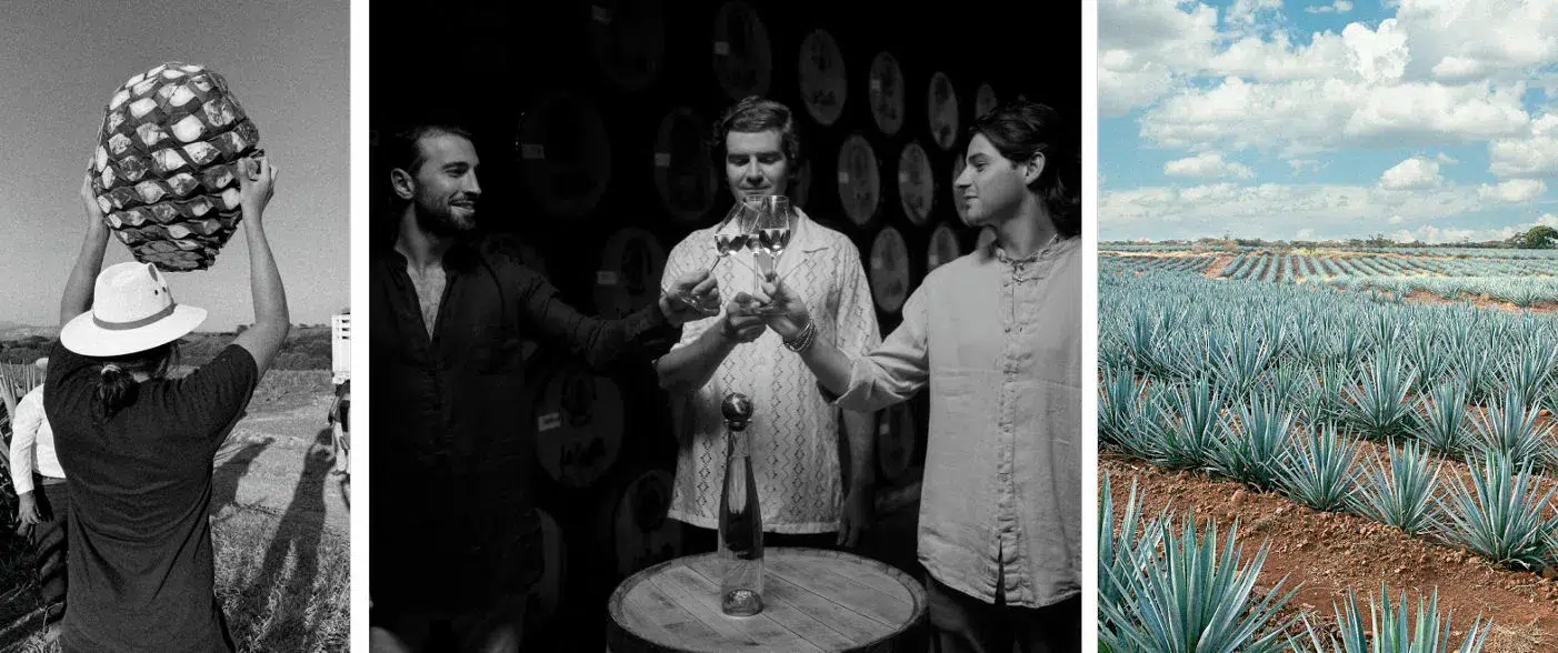 Experts crafting the best luxury tequila at Celosa