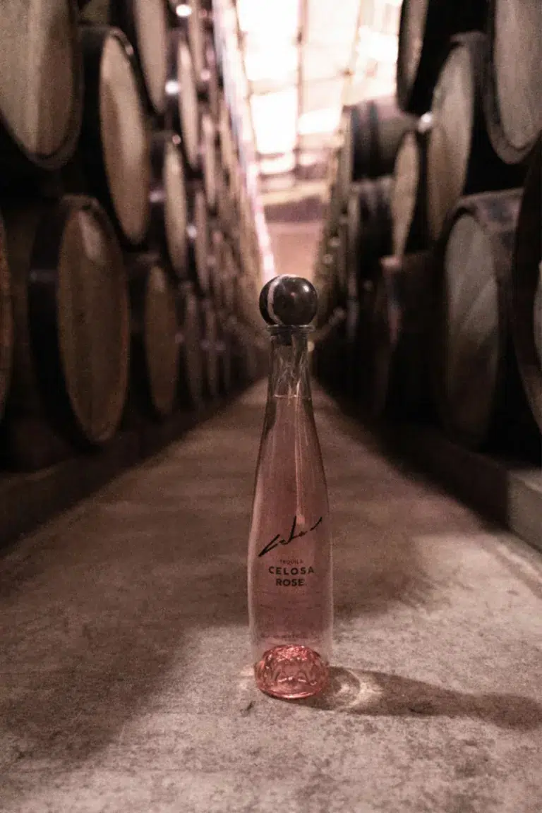 A bottle of premium Celosa Rose Tequila in French oak red wine barrels storage