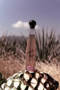 A bottle of Celosa Rose tequila resting on a harvested agave plant, with agave fields and a cloud in the background, symbolizing tequila from Mexico.