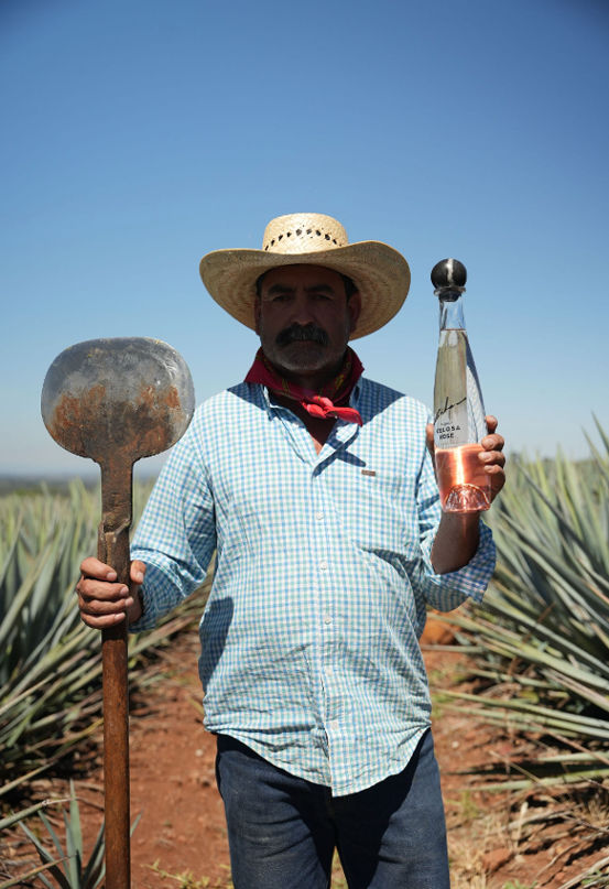 Tequila Jalisco: History, How It's Made, and Tasting